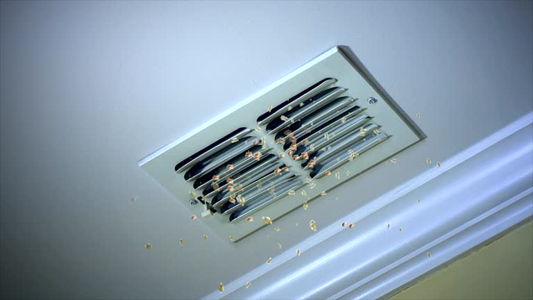 Best Affordable HVAC Duct Cleaning  in Greenville, TX