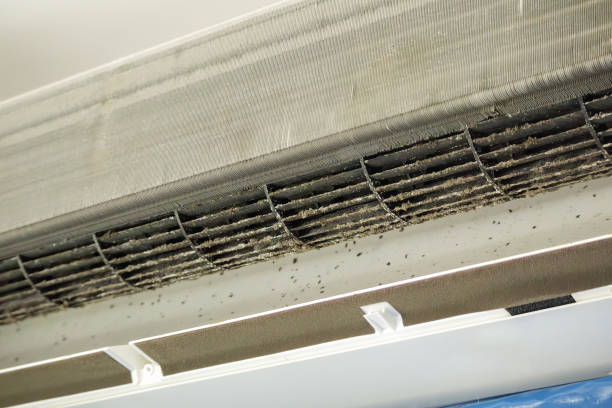 Best Commercial Air Duct Cleaning  in Greenville, TX